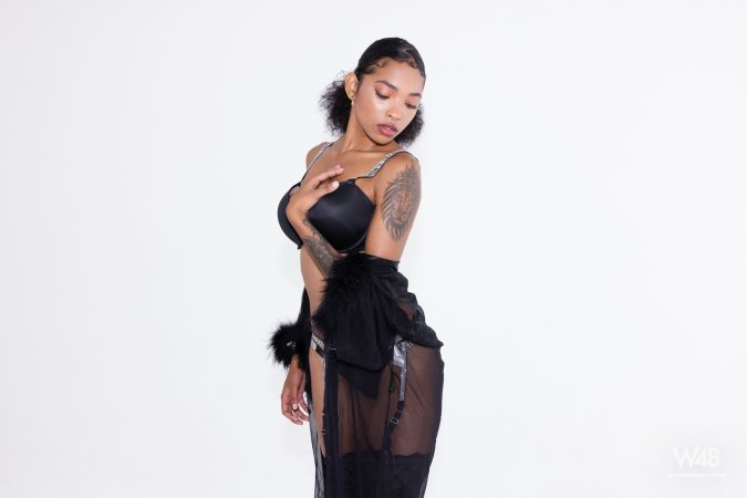Sliding into black rhinestone lingerie, Barbie poses with sheer robe and garter belt in studio — Barbie #1