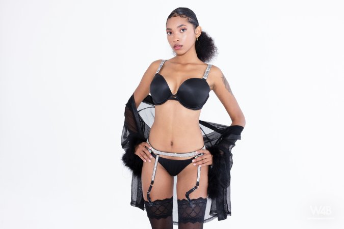 Sliding into black rhinestone lingerie, Barbie poses with sheer robe and garter belt in studio — Barbie #2