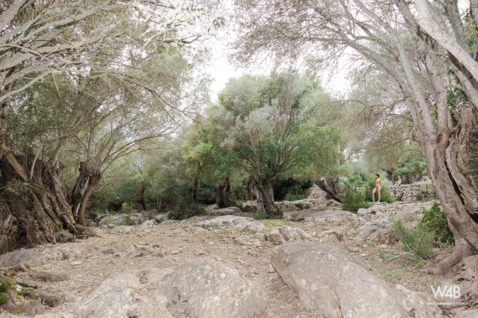 Wikki Kee in orange lace posing barefoot on mossy rocks under olive trees in Mallorca — Wikki Kee #11