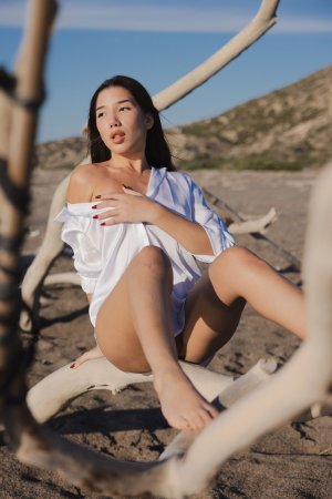 Layla Scarlett soaked in ocean waves, white shirt clinging to her curves as she stands barefoot on the shore — Layla Scarlett #19
