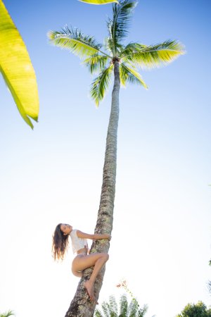 Irene Rouse teases in white lingerie against a palm tree, sunlight glinting on her thigh highs as she poses playfully outdoors — Irene Rouse #12