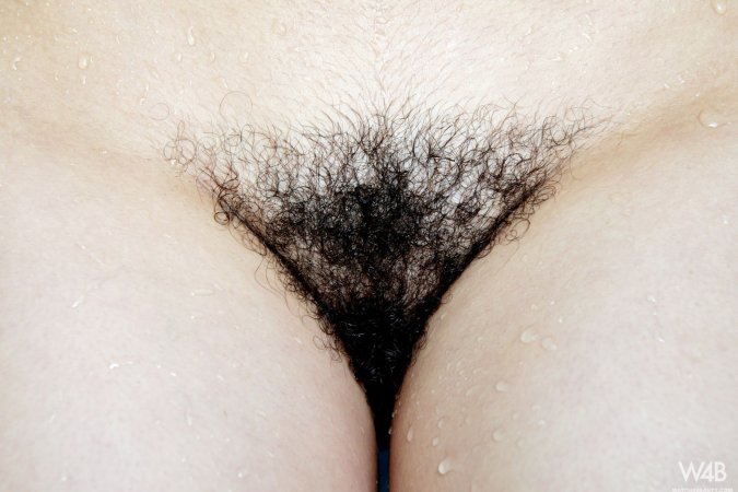 Big tits and hairy pussy in close-up bathroom scenes with penetration and oral sex #21